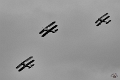 meeting aerien (12)